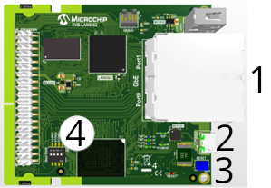 evb lan9662 ev09d37a num